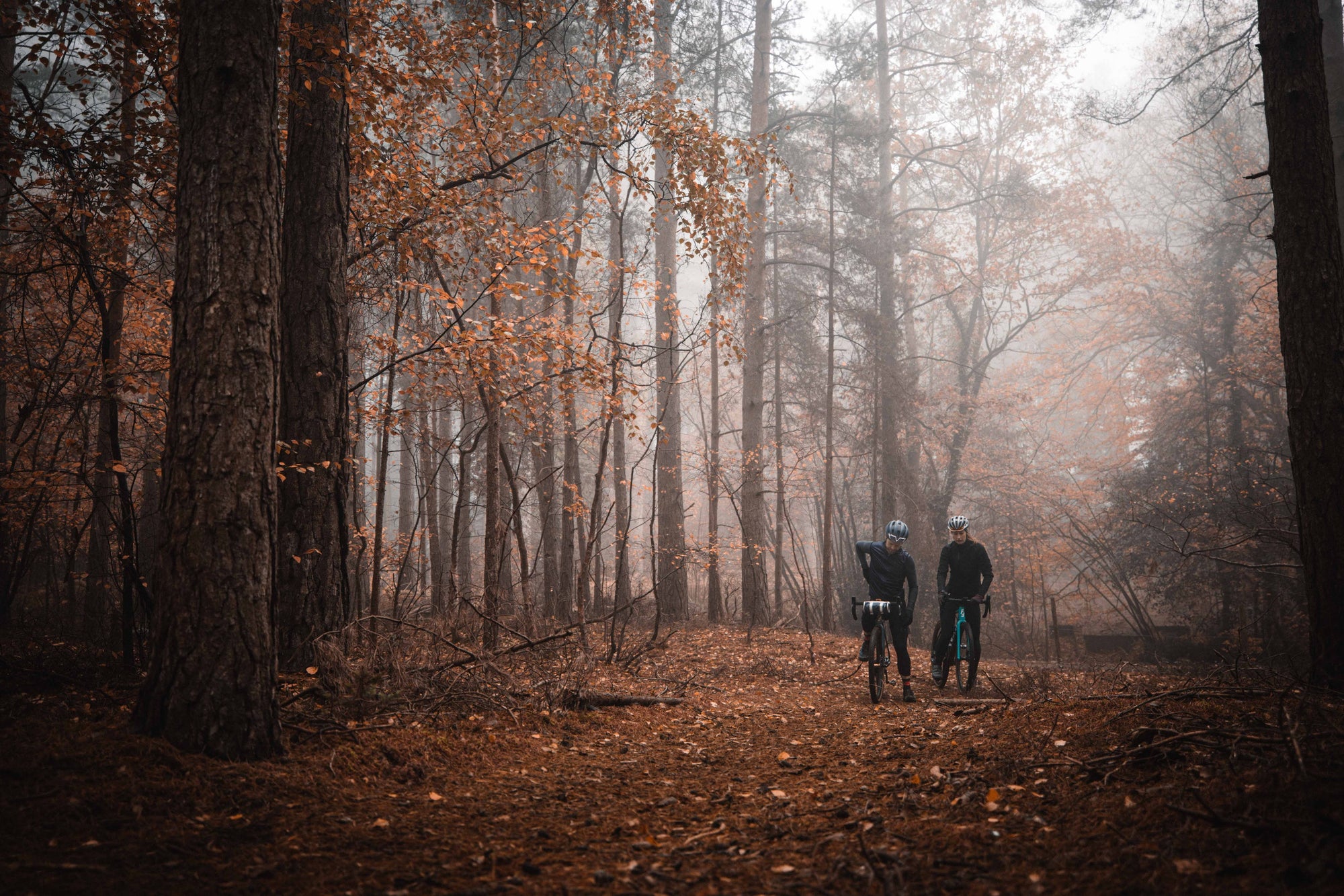 Save watts, plant trees - partnering with Ecologi