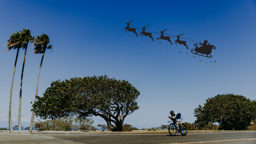 Dear Santa...The Parcours Christmas List